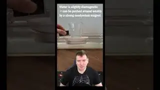 Trump Claims Water Breaks Magnets 🧲💦