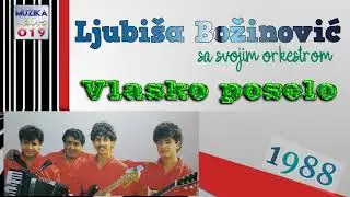 Ljubisa Bozinovic - Vlasko poselo 1988 // MuzikaUzivo019
