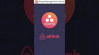 Why Airbnb uses Asana Project Management Tool?