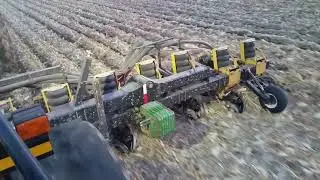 Corn on corn strip tillage 2017