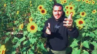 Verrick - BLVD (Official Music Video)