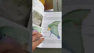 Basic and Clinical Science Course 2022-2023 Textbook Unwrap (Pt 1)