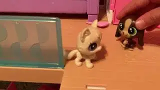 Lps parents out of TOWN!!\_end Thera a sleep over! Kitchen fail also!😂