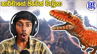 කාර්චාගේ පිටෙන් වැටුනා! | Ark Survival Evolved Highlights Sinhala Gameplay EP-3 |@DRMaxWaveGaming