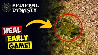 How To HEAL HP Early Game In Medieval Dynasty