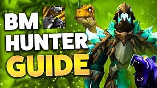 ULTIMATE BM HUNTER GUIDE FOR DRAGONFLIGHT