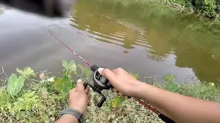Test Rod UL Oncak Feather 2-6 LBS