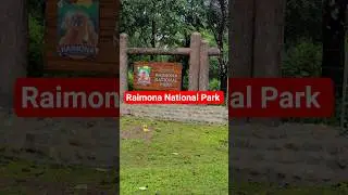 Raimona National Park Jeep Ride #nationalpark #jeepride #shorts