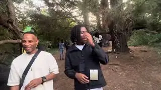 Fun day in the park