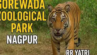 world of wild animals RRyatri