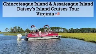 Daisey’s Island Cruises Tour on Chincoteague Island and Assateague Island in Virginia