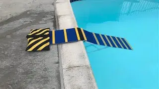 Dog Pool Exit Ramp in Action