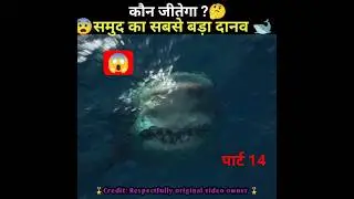 🐋समुद्र का मॉन्स्टर मेग 😨# sea monster # the meg # shorts # hollywood movies