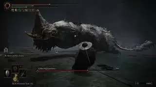 Golden Hippopotamus (Shadow Keep Main Gate) - Shadow of the Erdtree DLC