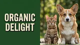 Introducing pawTree Doggie Delight: Your Source for Organic Dog and Cat Nutrition!