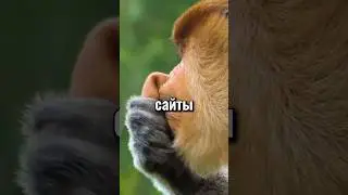 сайты которые ты должен знать (часть 35) #app #ai #нейросеть #it #productivity