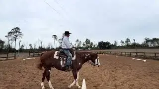 2026 WDAFL Gingerbread Jubilee, Scott-Ranger, WDAA 2022 Intro 2-A