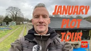 What to sow in January - Future projects - Allotment plot tour