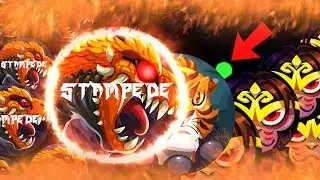 ABSORB.ME BEST BLIND DOUBLESPLIT! // SMALLER SIZE VANISH POPSPLIT