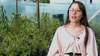 Un vivero forestal creado por jóvenes para demostrar los beneficios de los árboles - La Finca de Hoy