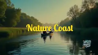 kayaking the homosassa a first person journey