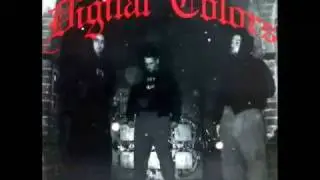 Digital Colors - Diary Of War