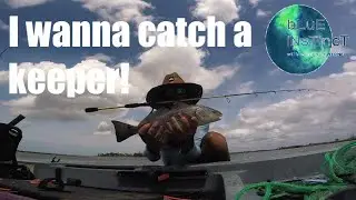 Mixed Bag with Mullet ...Yankeetown FL Kayak Fishing for a Keeper!  Fun Day!