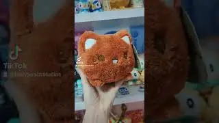 Such a FLUFFY Meowchi!? #Shorts