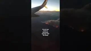 Wild fire #summer #wildfire #scary #mountains #smoke #reels #shorts #yt #viral #video #ytshort