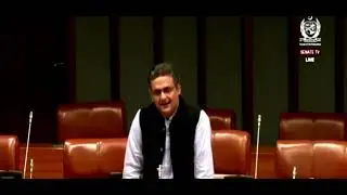 Faisal Javed Speech in Senate 8 Nov 2025 #Amendment #People #ImranKhan 