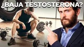 ¿BAJA TESTOSTERONA? Causas y SOLUCIONES que tenés que conocer