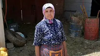 روتين لالة حادة مع الدجاج و جمع البيض في البادية