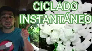 🔴 como CICLAR un ACUARIO RAPIDO 2020 | ciclado expres | como CICLAR un ACUARIO con peces dentro