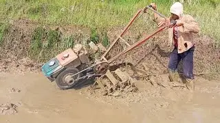 Traktor capung rawa mesin diesel kubota rd 65 di 2s 