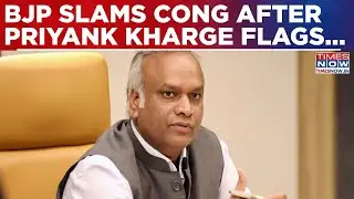 Karnataka IT Minister Priyank Kharge Flags 'Law & Order Situation'? BJP Asks Who's Responsible?