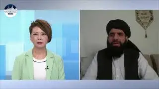 Taliban to include politicians 'in that government' - Spokesperson