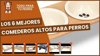 Los 6 mejores comederos altos para perros