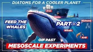 Mesoscale experiments EisenEx, EIFEX, LOHAFEX (Part 2) | Ocean Iron Fertilization | #005