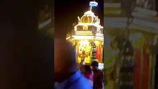 Palani golden chriots