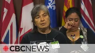 Families call for public inquiry after 9 Indigenous deaths involving police