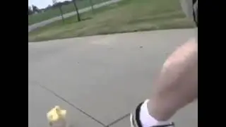 Funny duck following a man