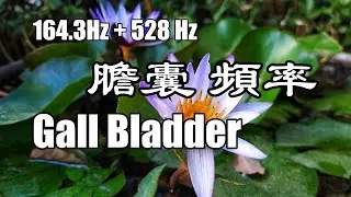 528Hz | Tune & Heal Gall Bladder with Tibetan Singing Bowls Healing Sound | Deep Meditation