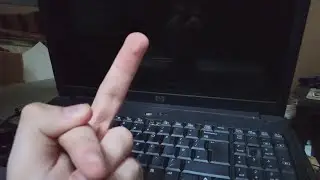 ashley spends ~17 minutes discovering how much of a Skissue Hewlett Packard is