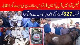 New World Record 327 Kg Goat Wins Faisalabad Bakra Show 2022