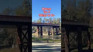 🌿 Moama Top 5 Things to Do #moama #nsw #explorensw #murrayriver #nswaustralia
