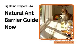 Diatomaceous Earth Vinegar Pepper Ant Barrier Tutorial