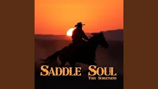 Saddle Soul 2