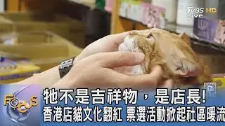 牠不是吉祥物，是店長!香港店貓文化翻紅 票選活動掀起社區暖流｜FOCUS午間新聞 20250904 @tvbsfocus