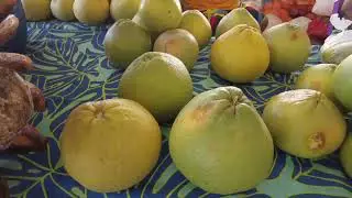Foire Agricole 2022 - Tahiti Outumaoro Polyn&eacute;sie Fran&ccedil;aise