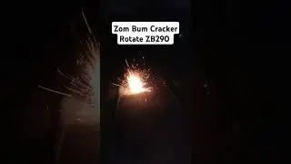 Zom Bum Cracker Rotate ZB290 #shorts #fireworks #pyro